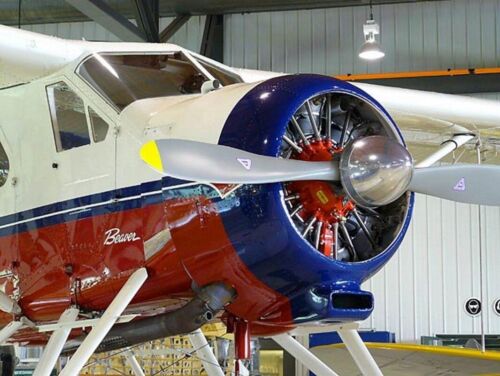DeHavilland DHC-2 Beaver