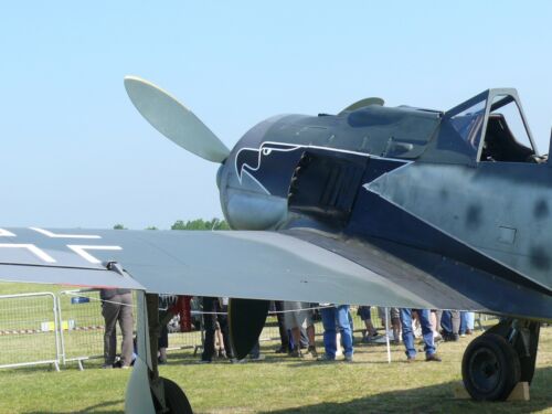 FW 190