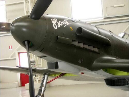 Fiat G-55 Centauro