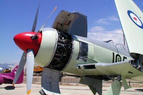 Hawker Sea Fury Mk.11