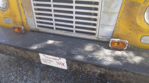 International Harvester Loadstar Firetruck