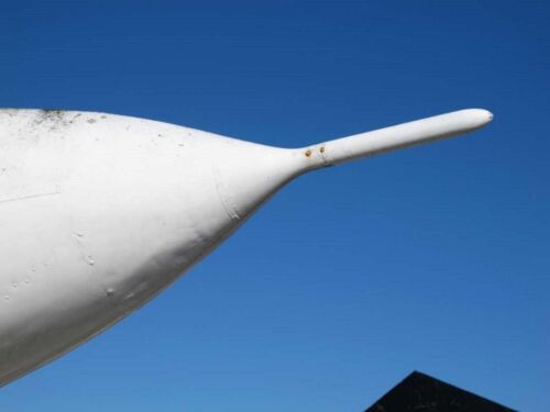 JB-2 Loon