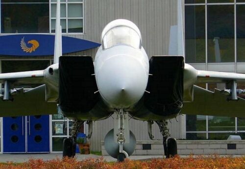 McDonnell Douglas F-15B Eagle