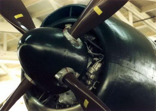 Kawanishi N1K George