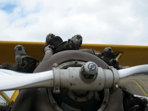 Naval Aircraft Factory N3N-3 Canary
