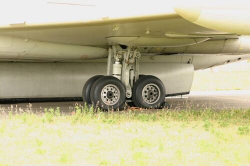 Nimrod MR2