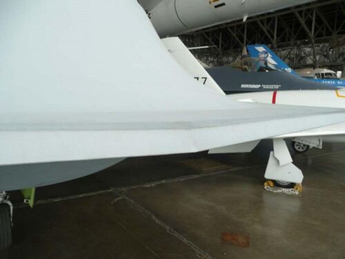 Northrop Tacit Blue