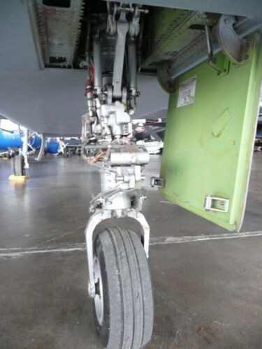 Northrop Tacit Blue