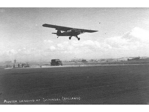 141372567 1 small-11511988553