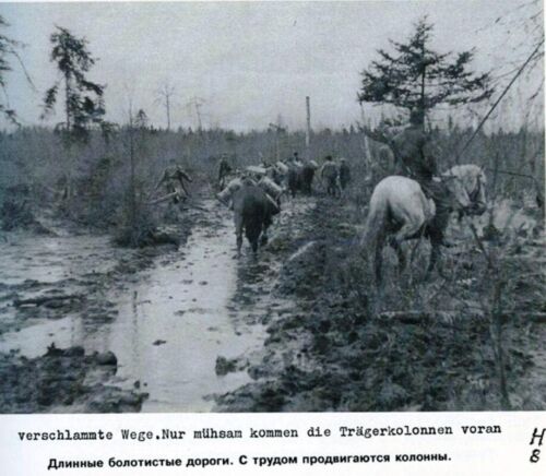 Photos bataille de Wolchow - Volkhov 1942