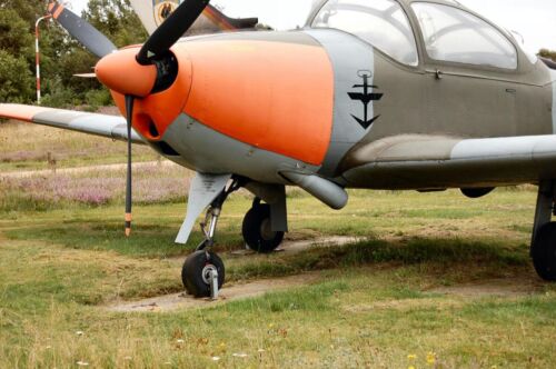 Piaggio P-149D