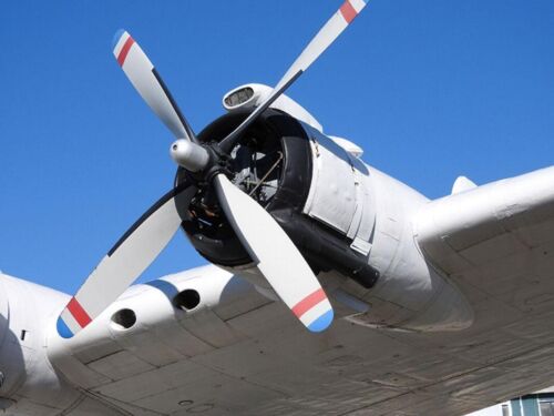 Short Solent 3