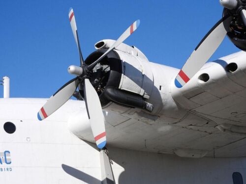 Short Solent 3