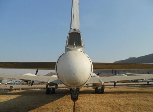 Tupolev Tu-4 Bull