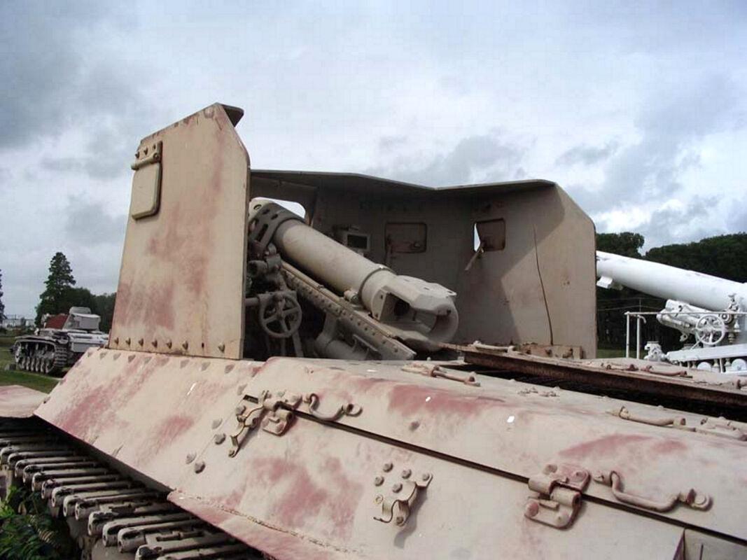 Type 1 HoNi Photos & Video NETMAQUETTES