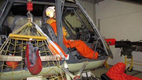 Westland Dutch MLD Wasp
