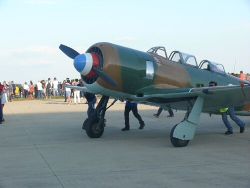 Yakovlev Yak-11 Moose