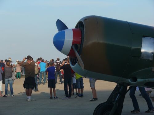 Yakovlev Yak-11 Moose