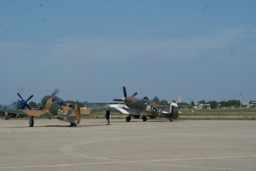 Yakovlev Yak-11 Moose